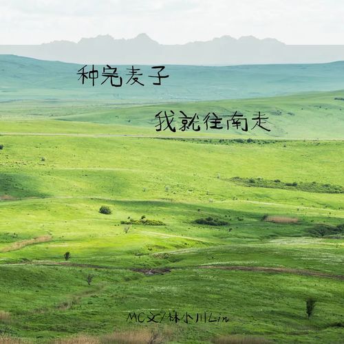 种完麦子我就往南走