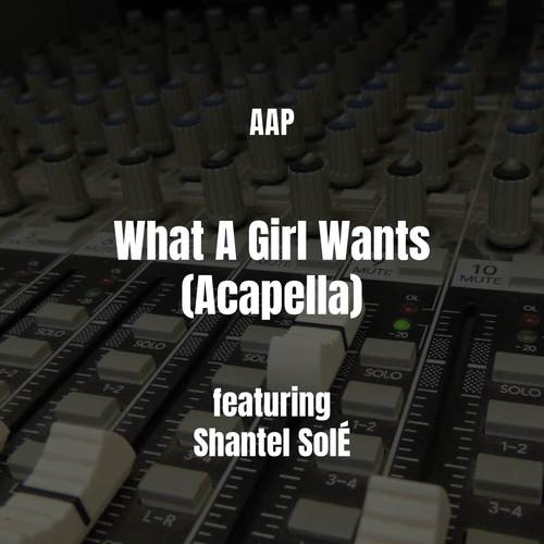 What A Girl Wants (Acapella) [Explicit]