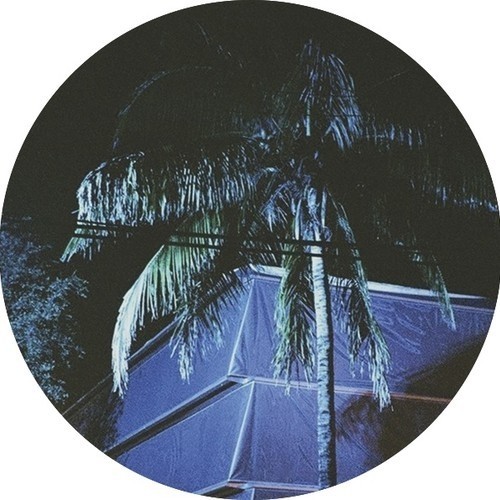 Whos The Licho In Charge Ovaa Here