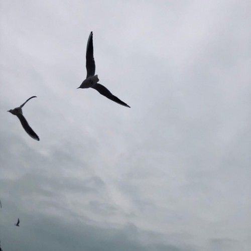 我的余生却再也没有北方