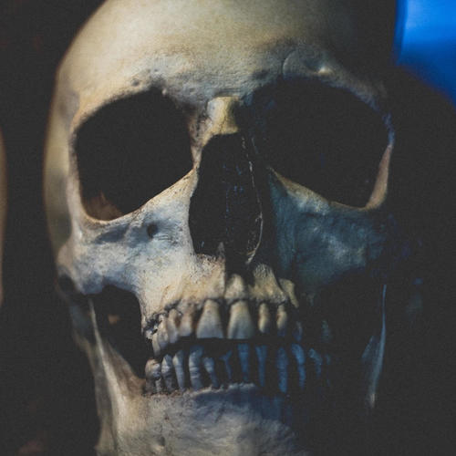 Noches de Jauria (feat. Fat Jerry & 506G) [Explicit]