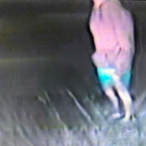 Better Off Dead (Explicit)