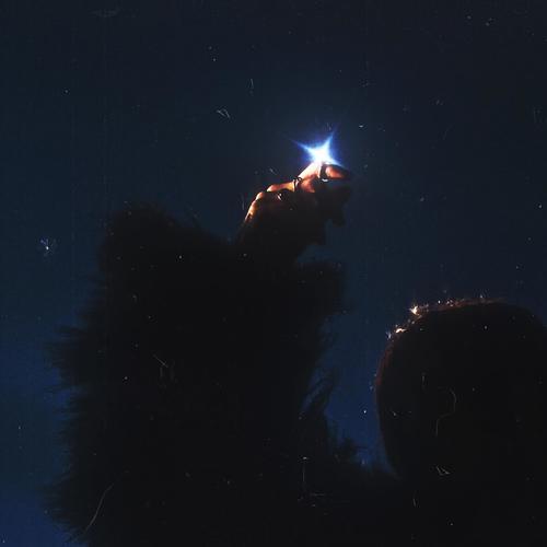 Shooting Star (feat. Lana Volkov)