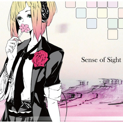 Sense of Sight