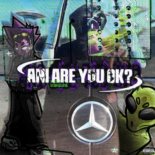 ANI ARE YOU OK? (Explicit)