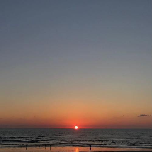 NighTenshi.. (Explicit)