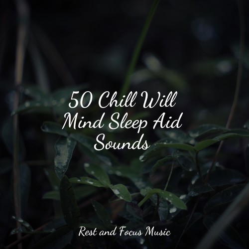 50 Chill Will Mind Sleep Aid Sounds
