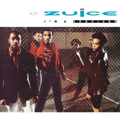 I'm A Survivor (Deluxe Edition)