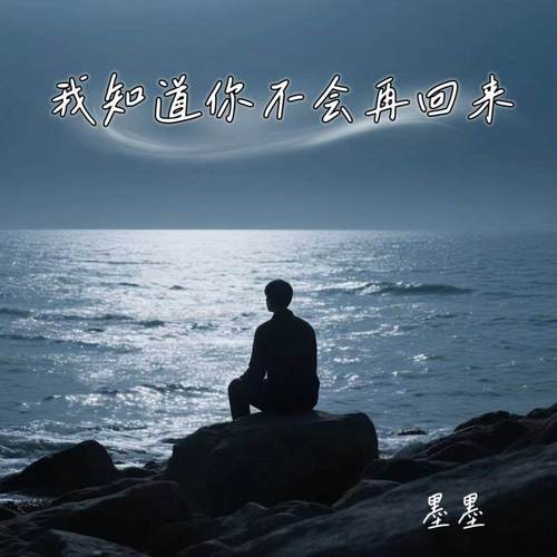我知道你不会再回来