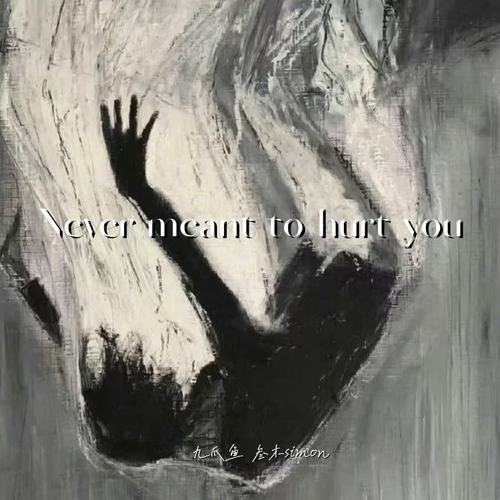 Never meant to hurt you