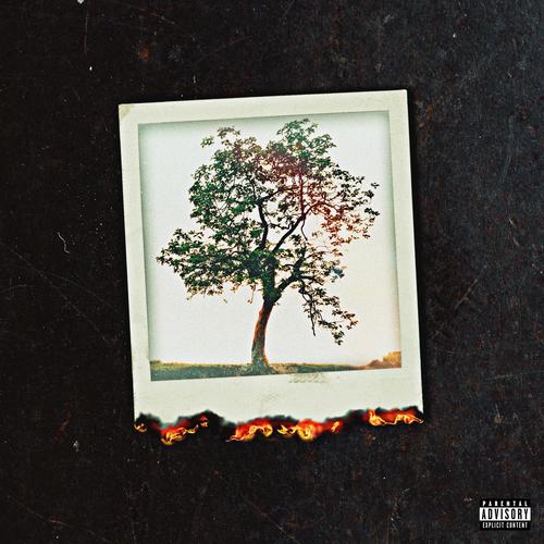 BURNING PICTURES (Explicit)