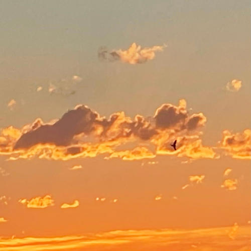 Attachment (Explicit)