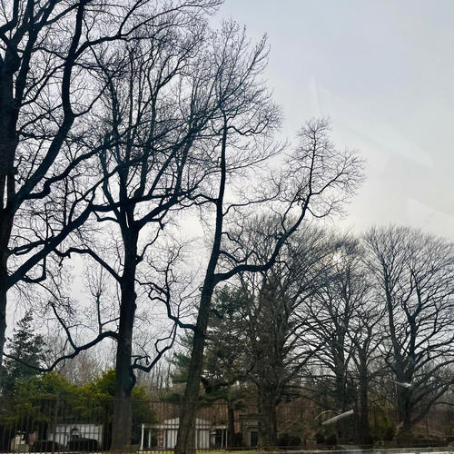 NO FRONTS (feat. Packsoheavy & FEB PHONZO) [Explicit]