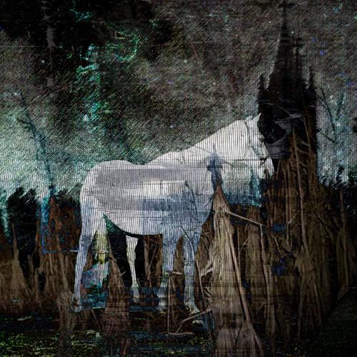 BLAIR WITCH PROJECT (Explicit)