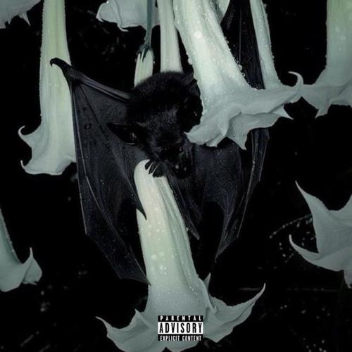 Bruce Wayne (feat. camsoulja) [Explicit]