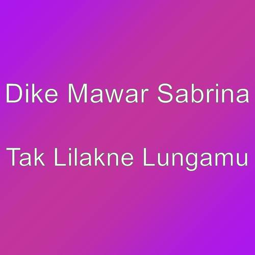 Tak Lilakne Lungamu