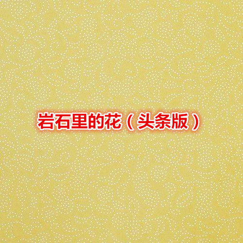 岩石里的花