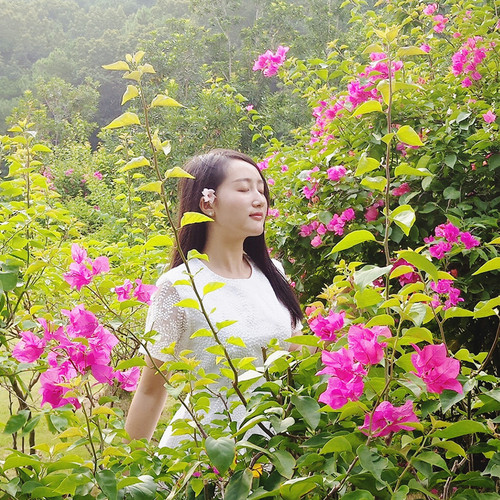 凤凰花开的路口