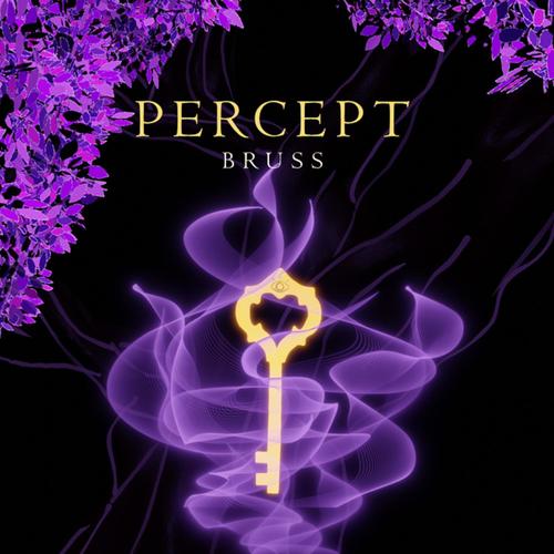 PERCEPT (Explicit)