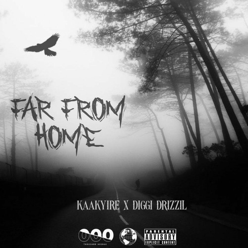 Far From Home (Explicit)