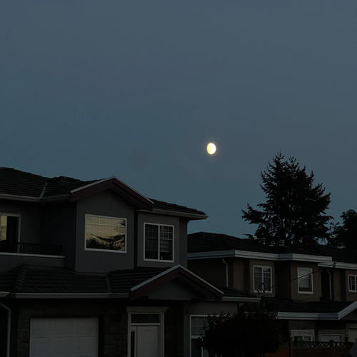 freak out (Explicit)