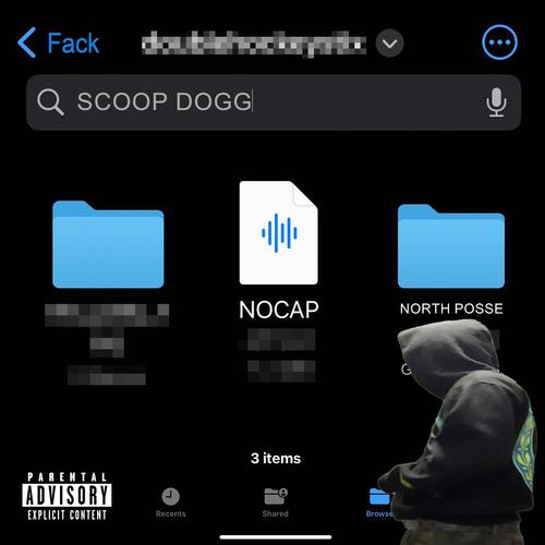 NOCAP (feat. North Posse) [Explicit]