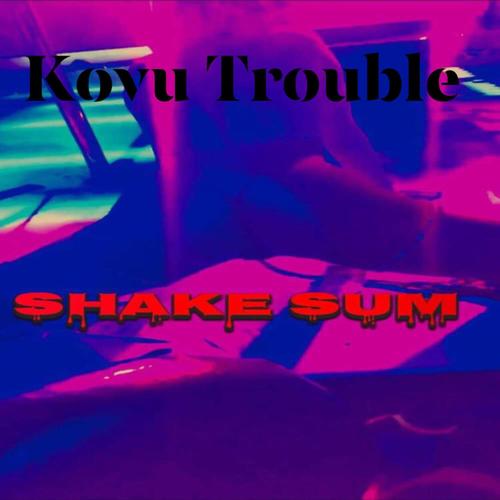 Shake Sum (Explicit)