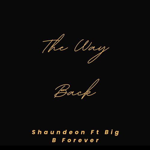 The Way Back (feat. Bigbforever)