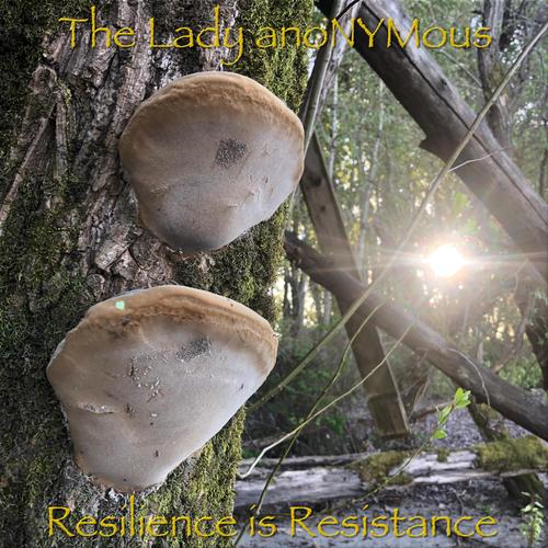 Resilience is Resistance