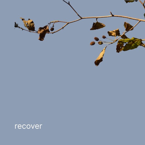 recover