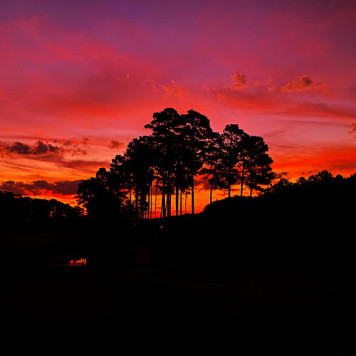 The Big T Chronicles (Explicit)