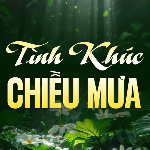 Tình Khúc Chiều Mưa