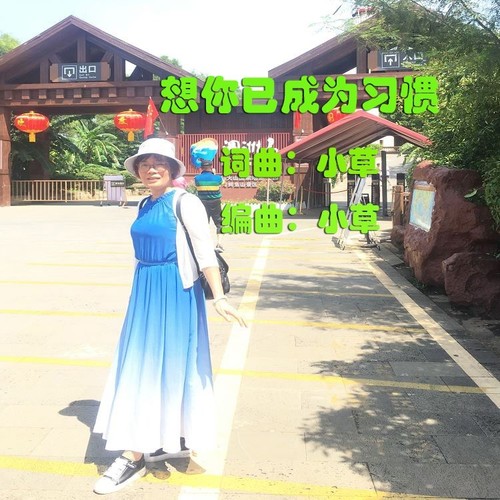 想你已成为习惯