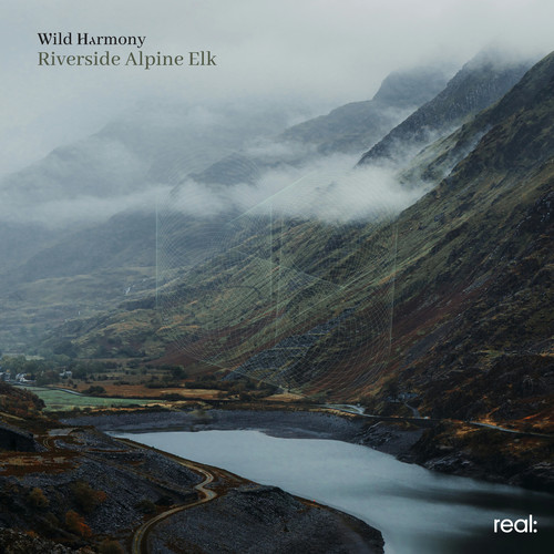 Riverside Alpine Elk