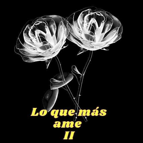 Lo Que más Ame II