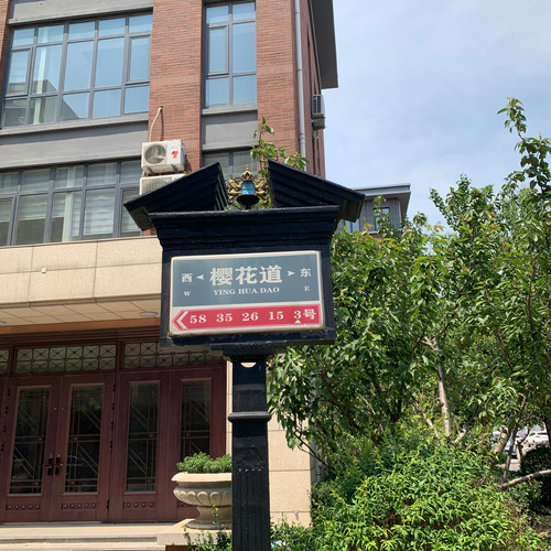 樱花道没有樱花