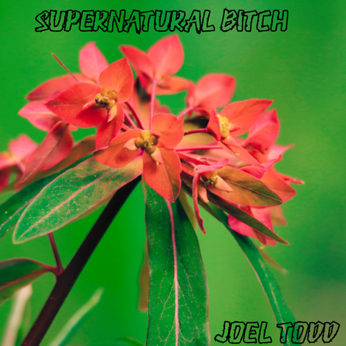 Supernatural *****