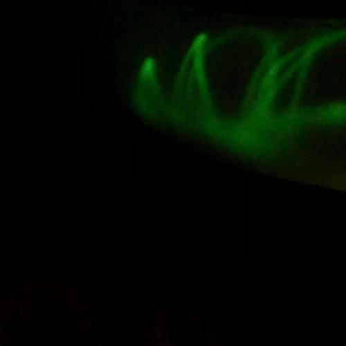 Inhale (feat. Lahkomie) [Explicit]