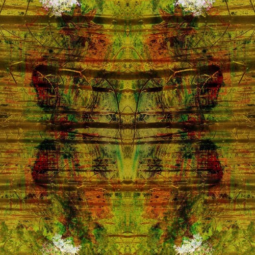 Ethnic Code E - Mixed White and Black African