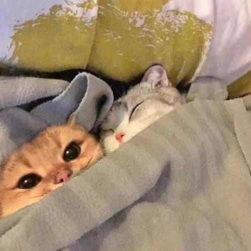 im so ****ing tired of my miserable life yeahh (Explicit)