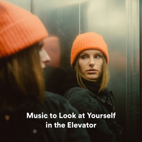 Music to Look at Yourself in the Elevator