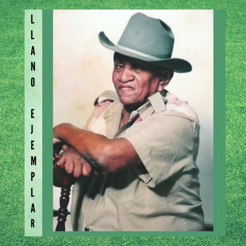 Llano Ejemplar