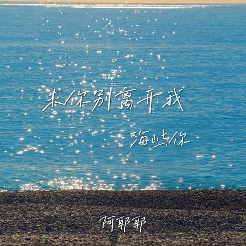 求你别离开我（海屿你）