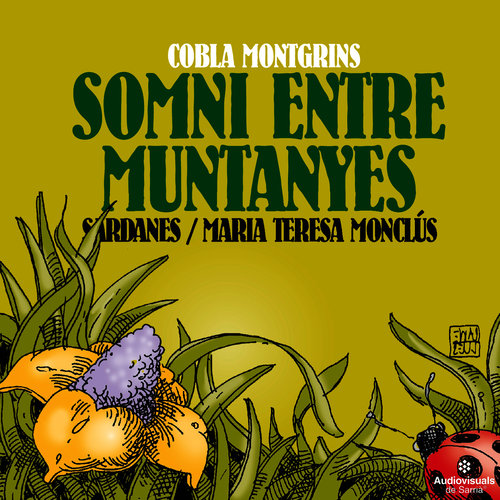 Somni Entre Muntanyes