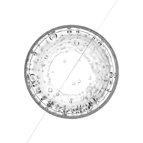 ø