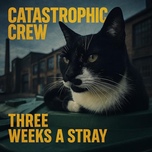 Three Weeks a Stray (feat. Roo Cat)