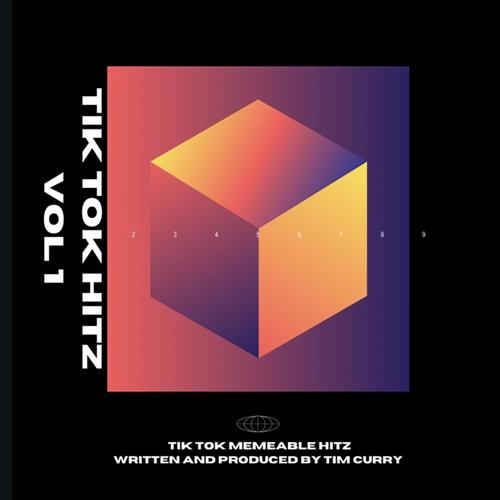 Tik Tok Hitz, Vol. 1