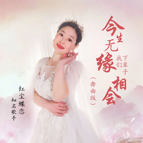 今生无缘我们下辈子相会 (舞曲版)