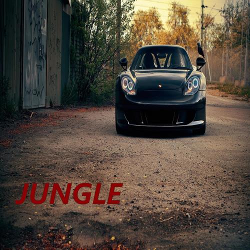 Jungle (feat. Furkan Soysal) [Radio Edit]