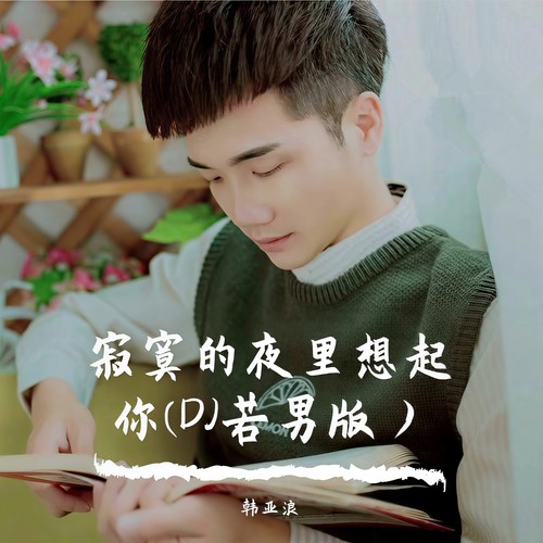寂寞的夜里想起你(DJ若男版）